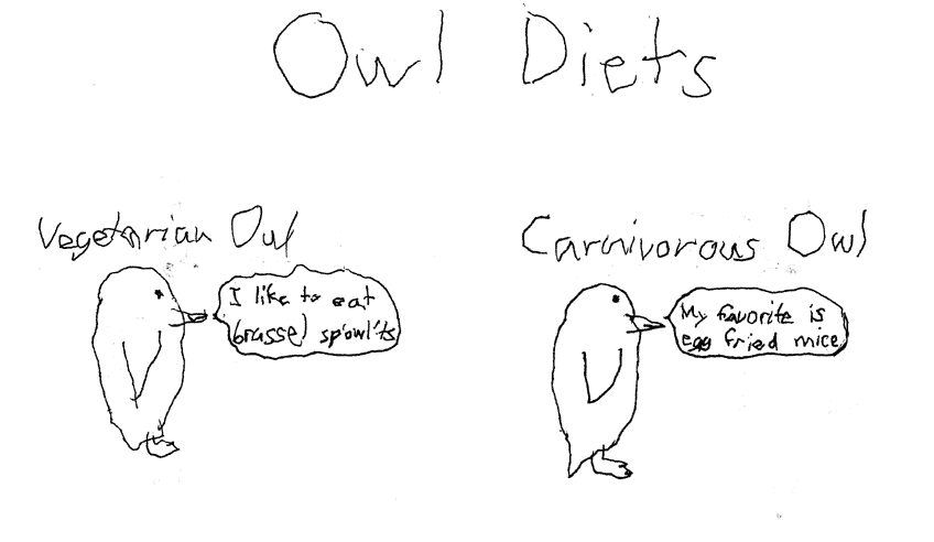 Owl Diets