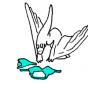 Pteranodon Goes Swimming
