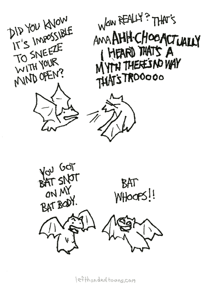 Did-You-Know Bats 18
