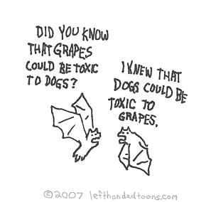 Did-You-Know-Bats 2