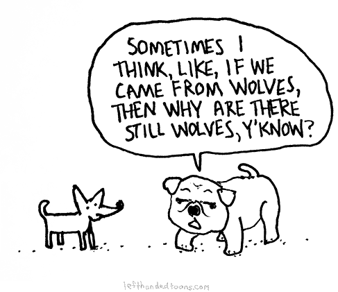 Dogs