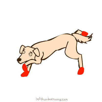 Dogshoes
