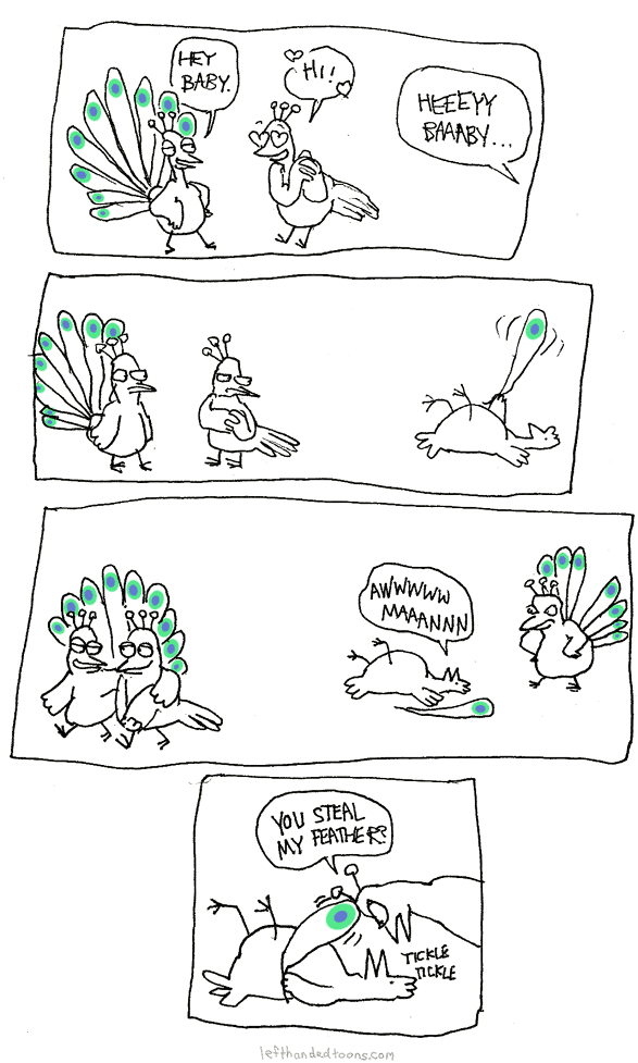 Peacocks