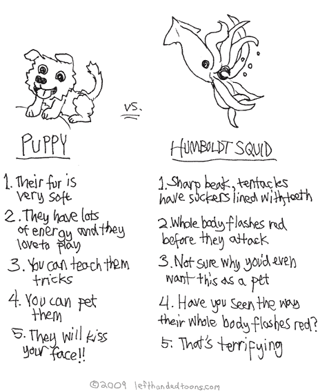 Pet Choices!