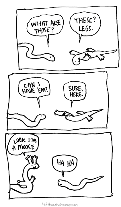 Snake and Lizard