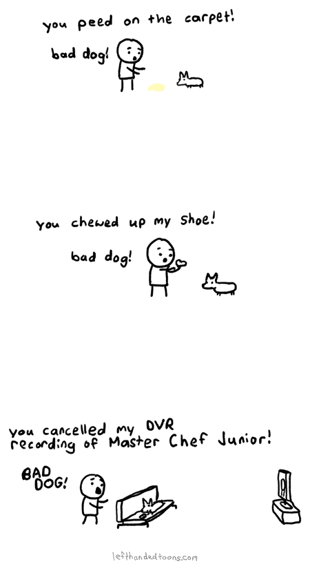 Dogs